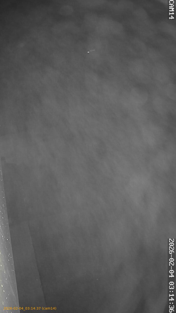 thumbnail_20260204031437