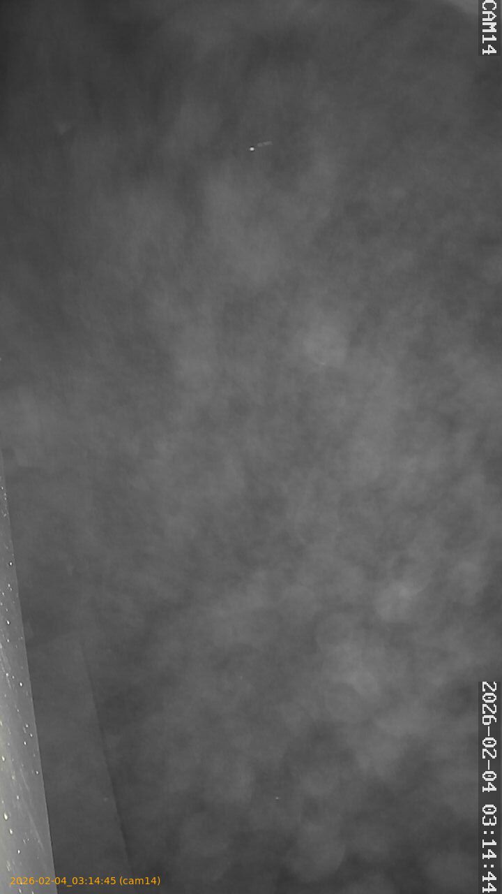 thumbnail_20260204031445