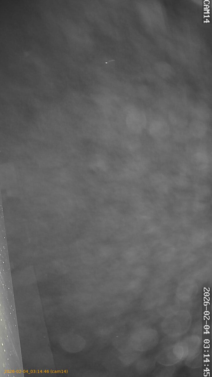 thumbnail_20260204031446