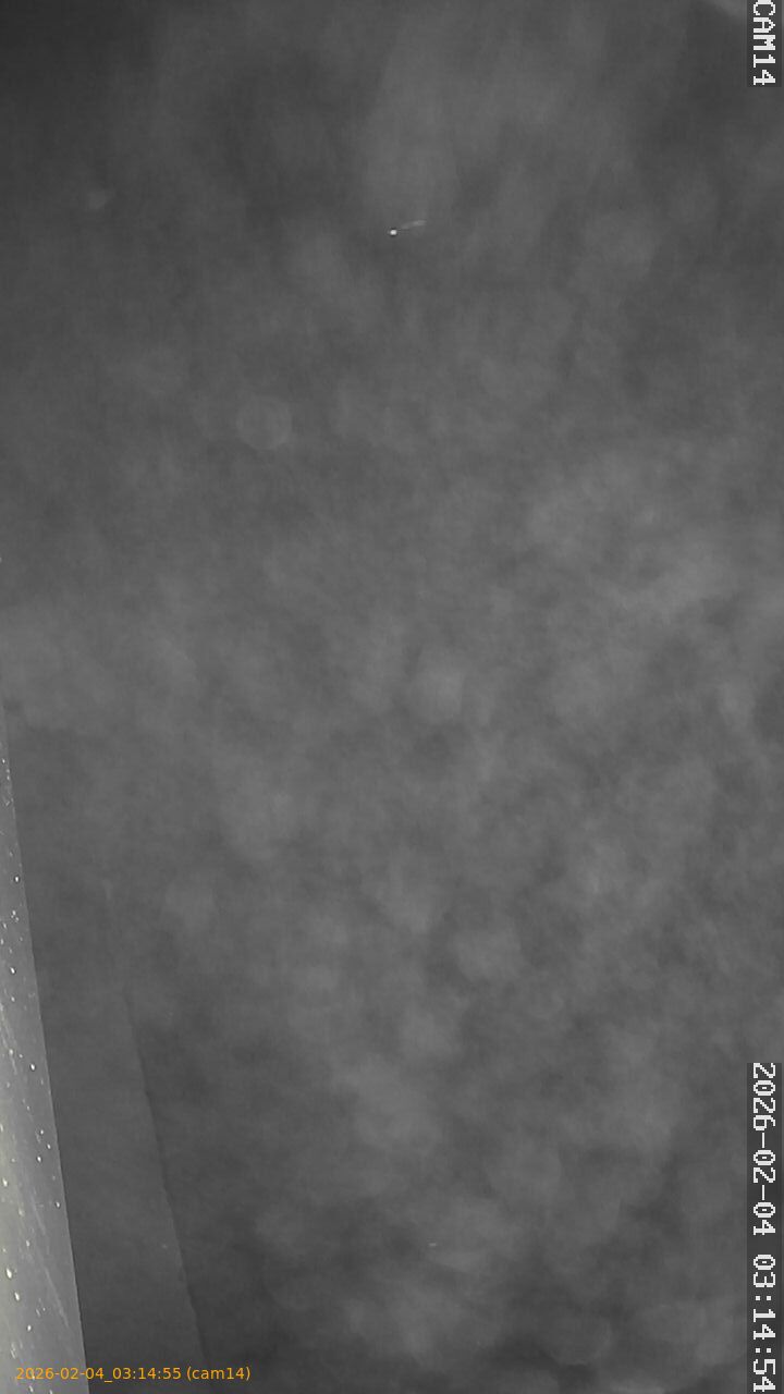 thumbnail_20260204031455