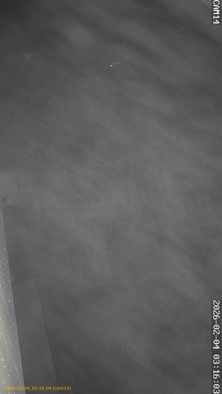 thumbnail_20260204031604