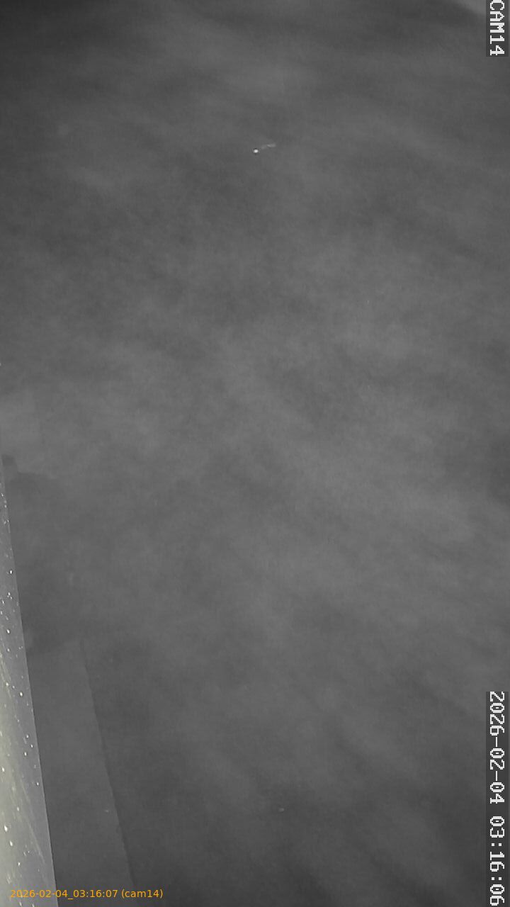 thumbnail_20260204031607