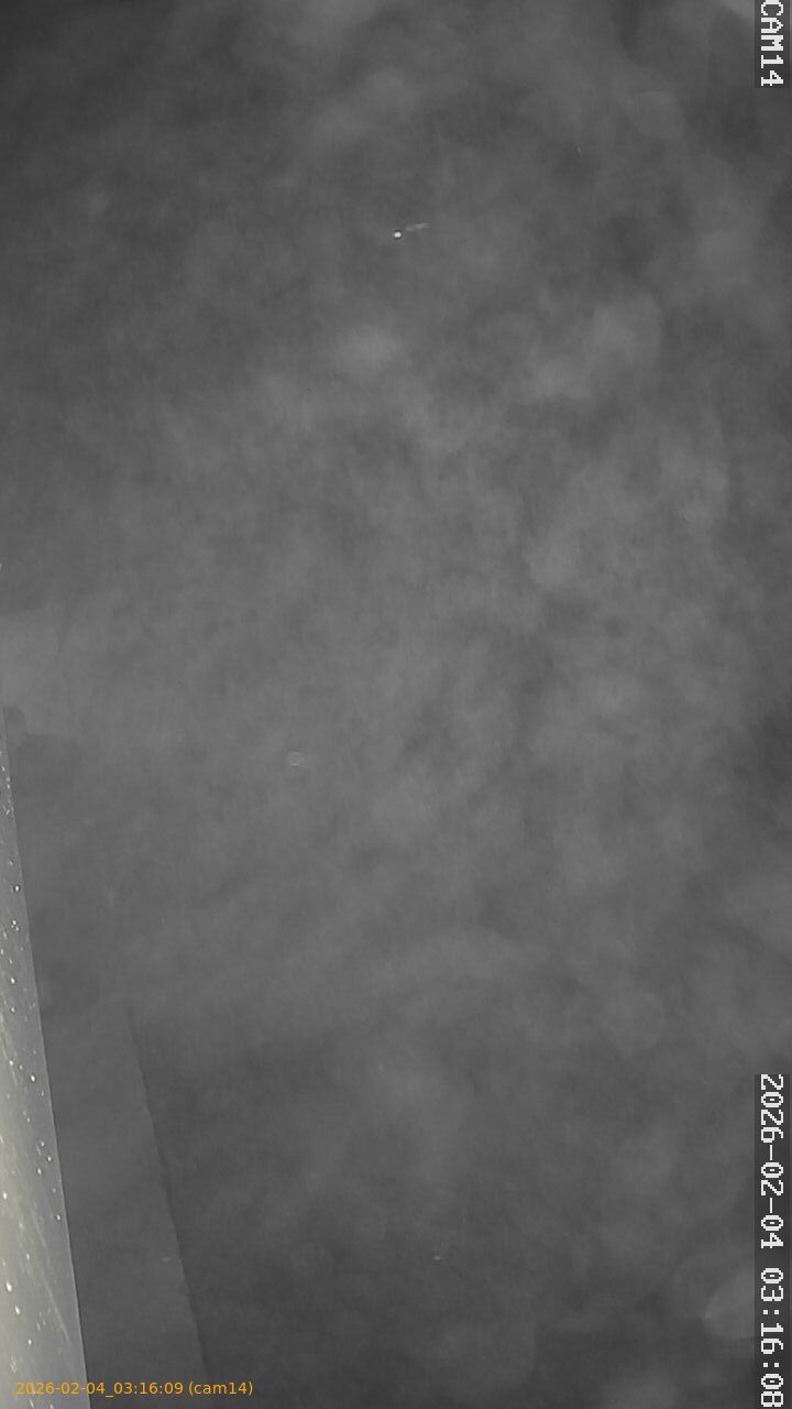 thumbnail_20260204031609