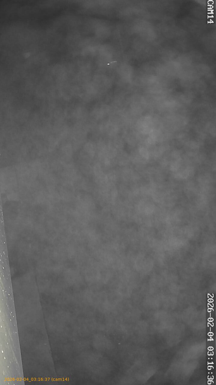 thumbnail_20260204031637