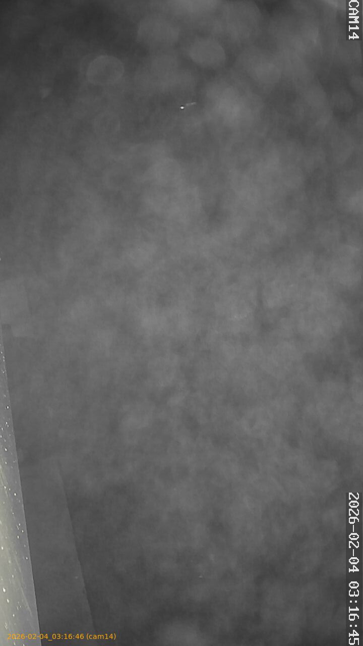 thumbnail_20260204031646