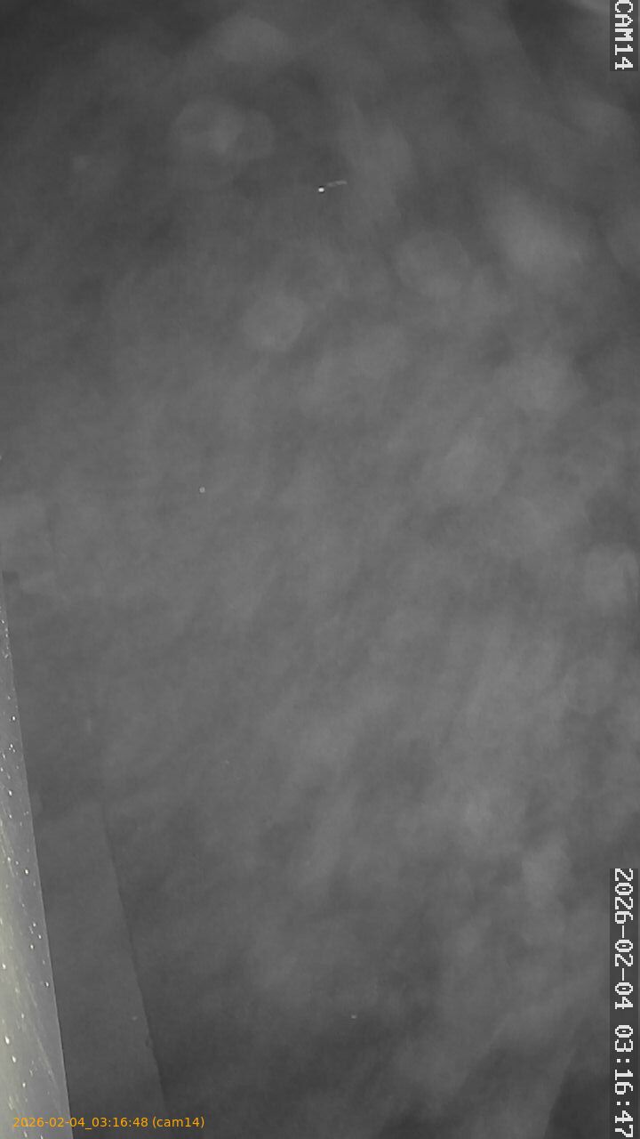 thumbnail_20260204031648