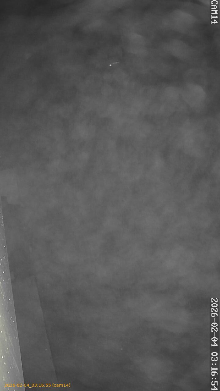 thumbnail_20260204031655