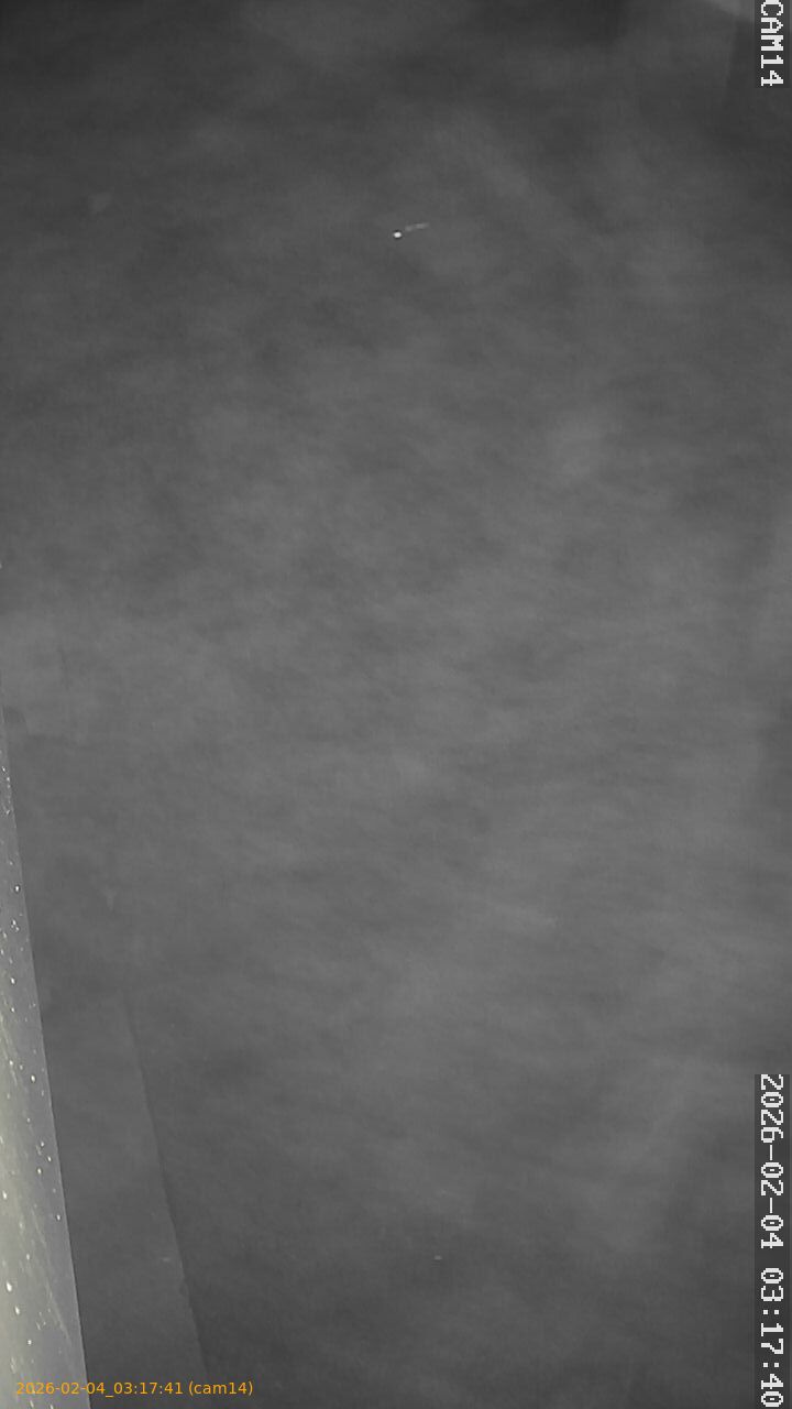 thumbnail_20260204031741