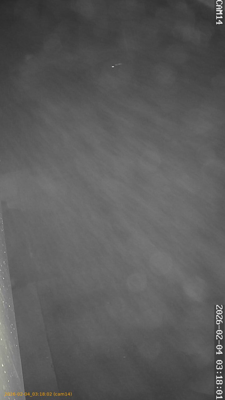 thumbnail_20260204031802