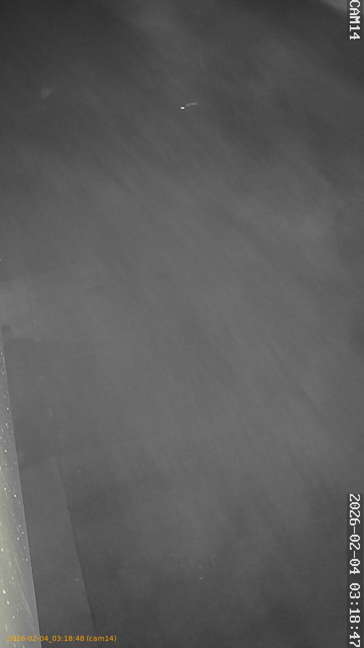 thumbnail_20260204031848