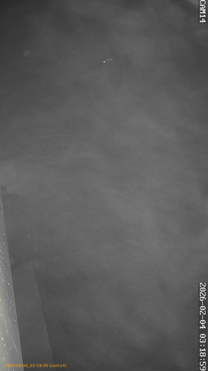 thumbnail_20260204031900