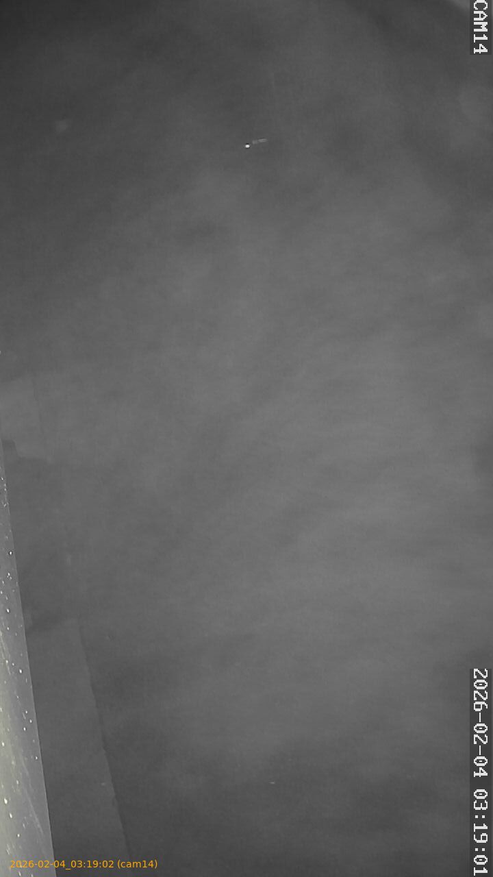 thumbnail_20260204031902