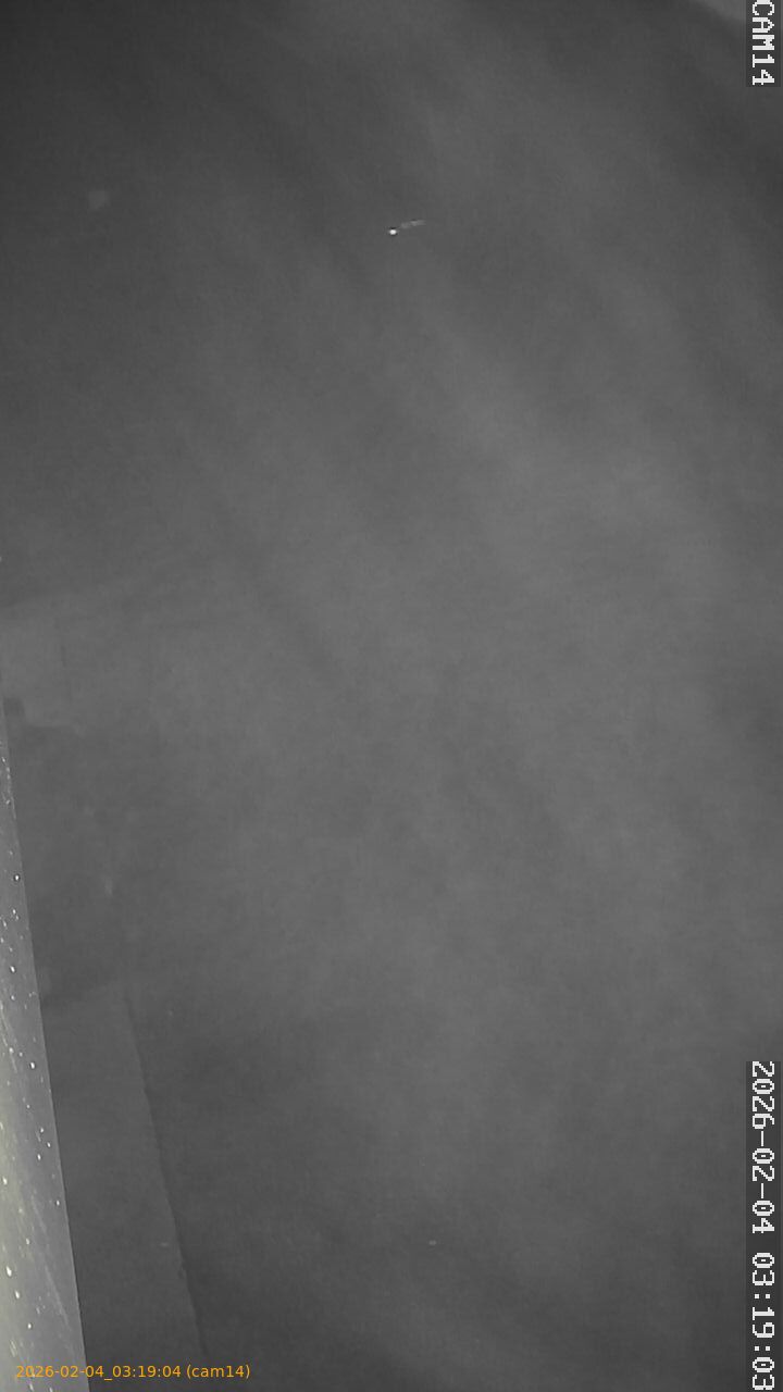 thumbnail_20260204031904