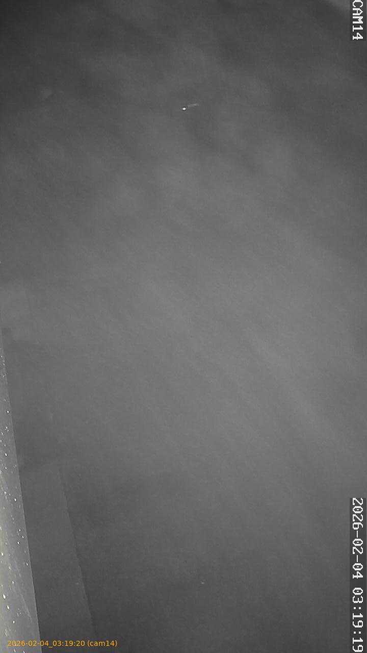 thumbnail_20260204031920