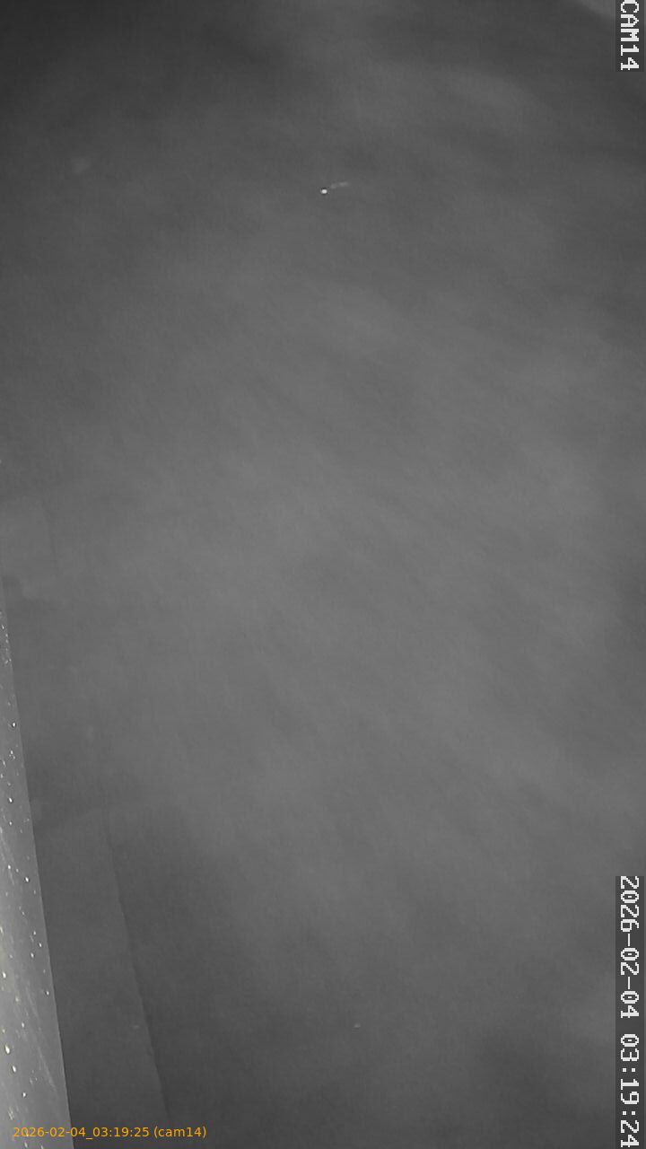 thumbnail_20260204031925