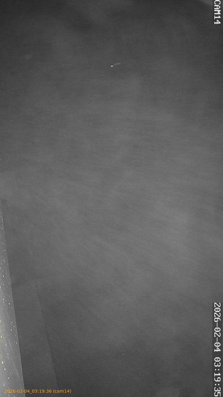 thumbnail_20260204031936