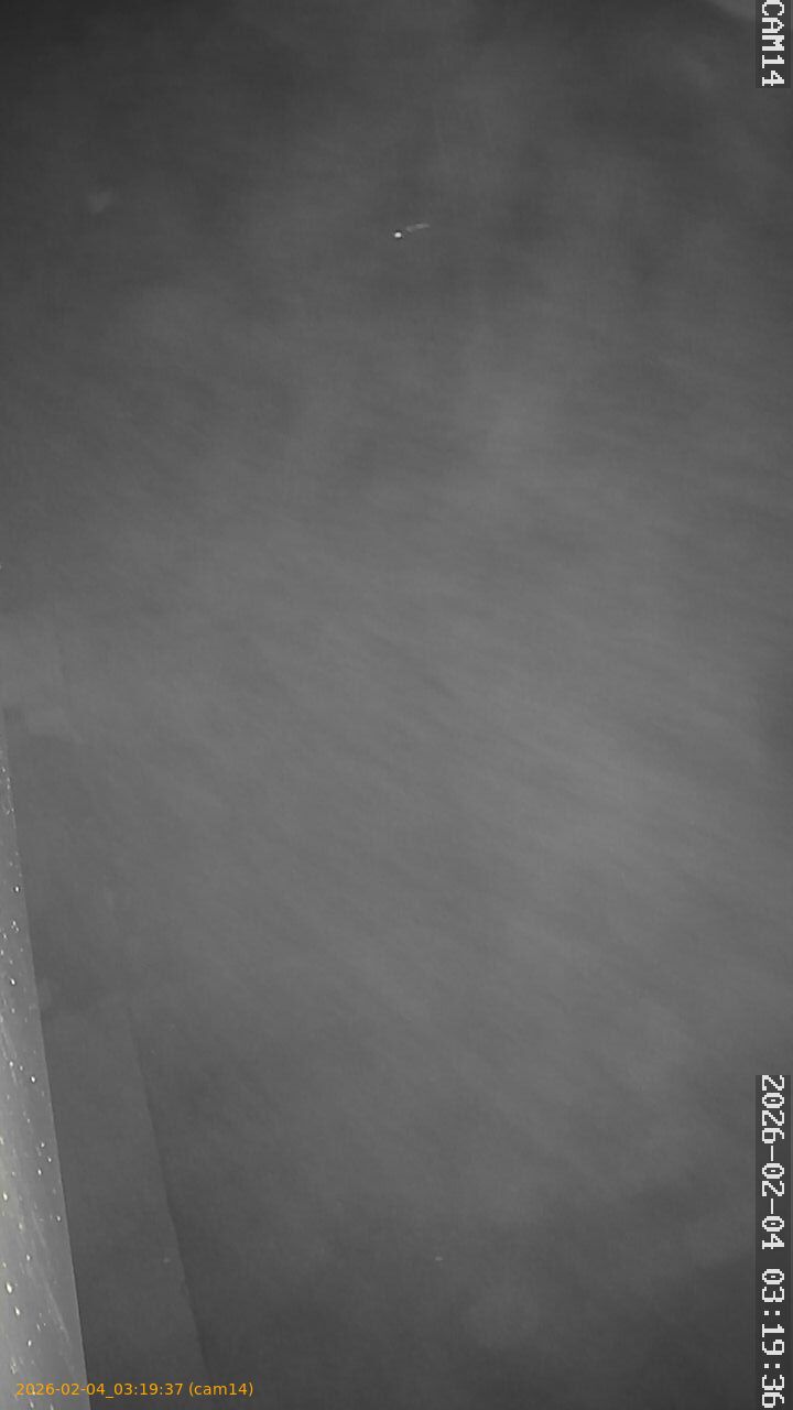 thumbnail_20260204031937