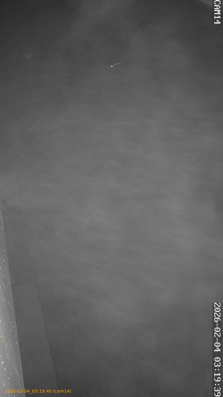 thumbnail_20260204031940