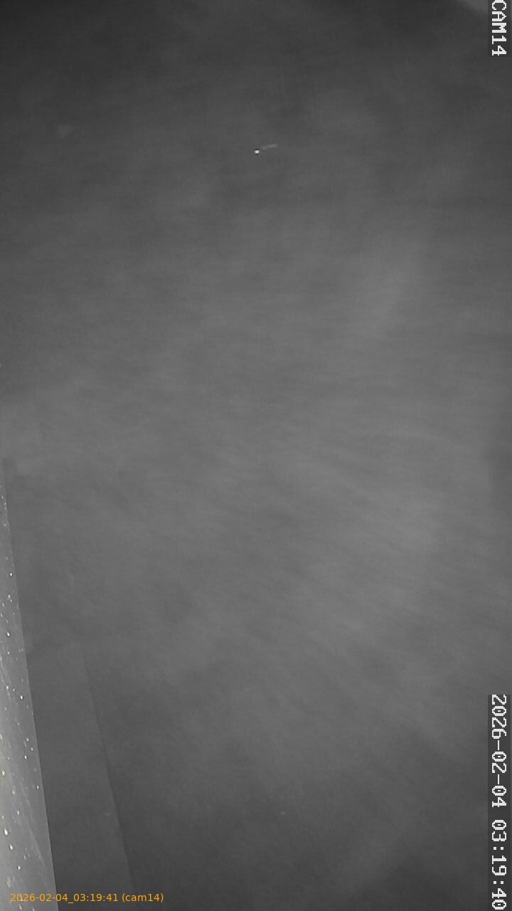 thumbnail_20260204031941