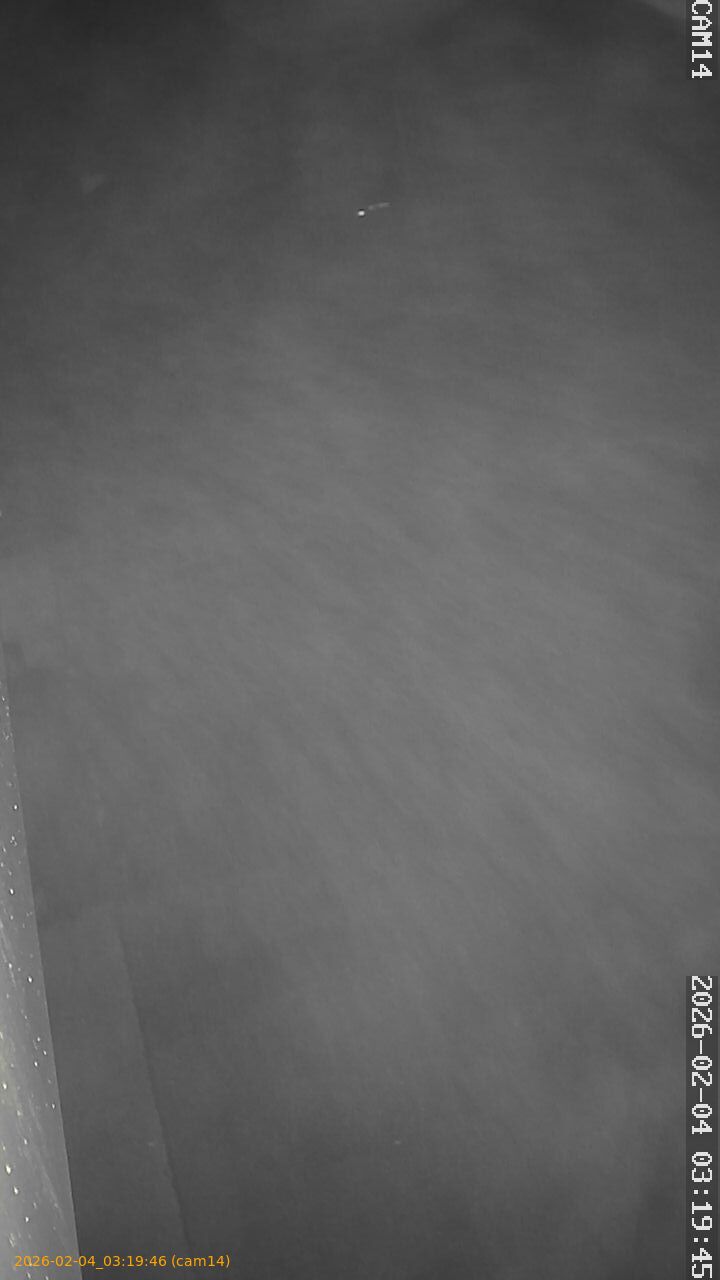 thumbnail_20260204031946