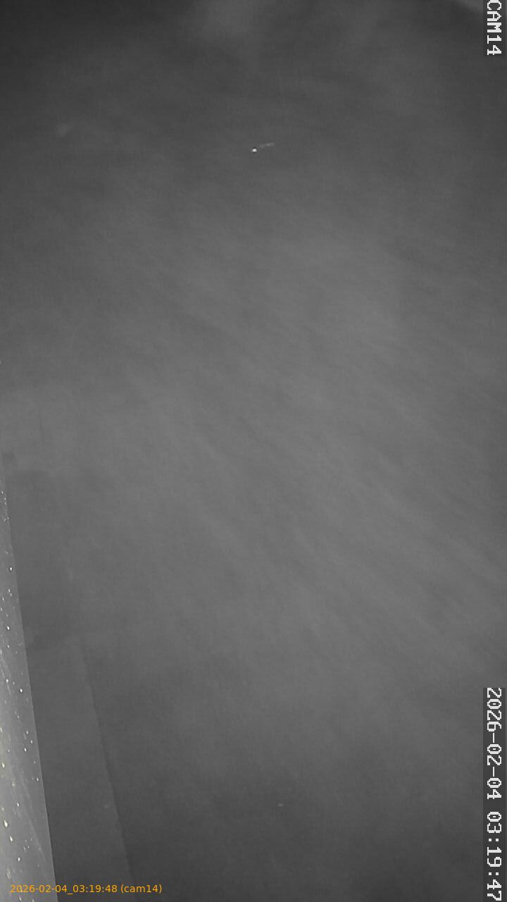 thumbnail_20260204031948