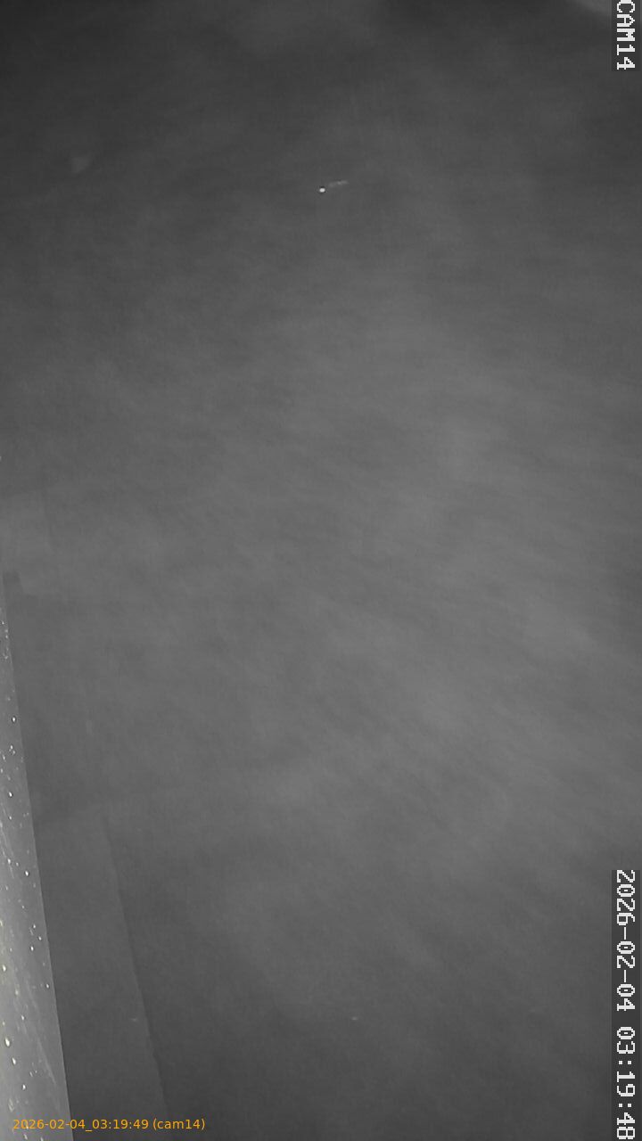 thumbnail_20260204031949