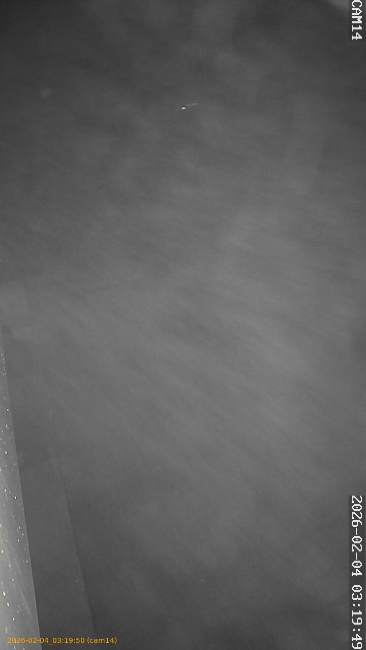 thumbnail_20260204031950