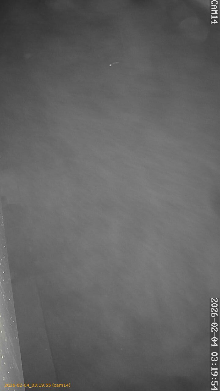 thumbnail_20260204031955