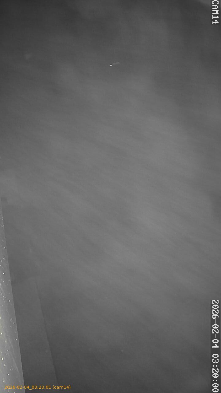 thumbnail_20260204032001