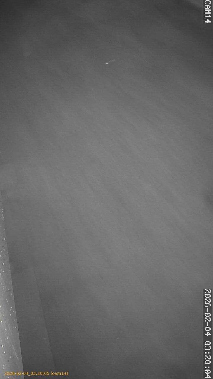 thumbnail_20260204032005