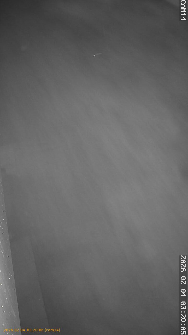 thumbnail_20260204032006