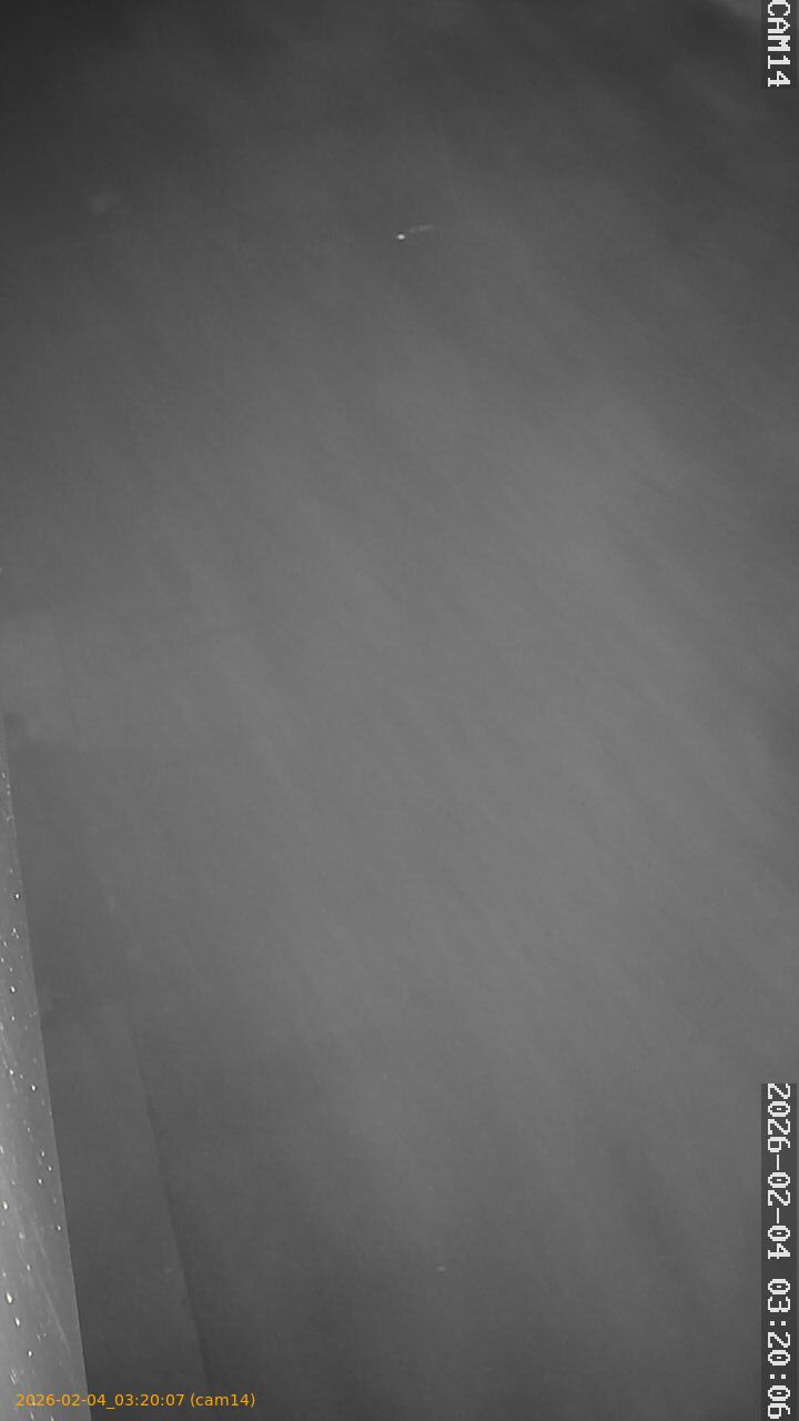 thumbnail_20260204032007