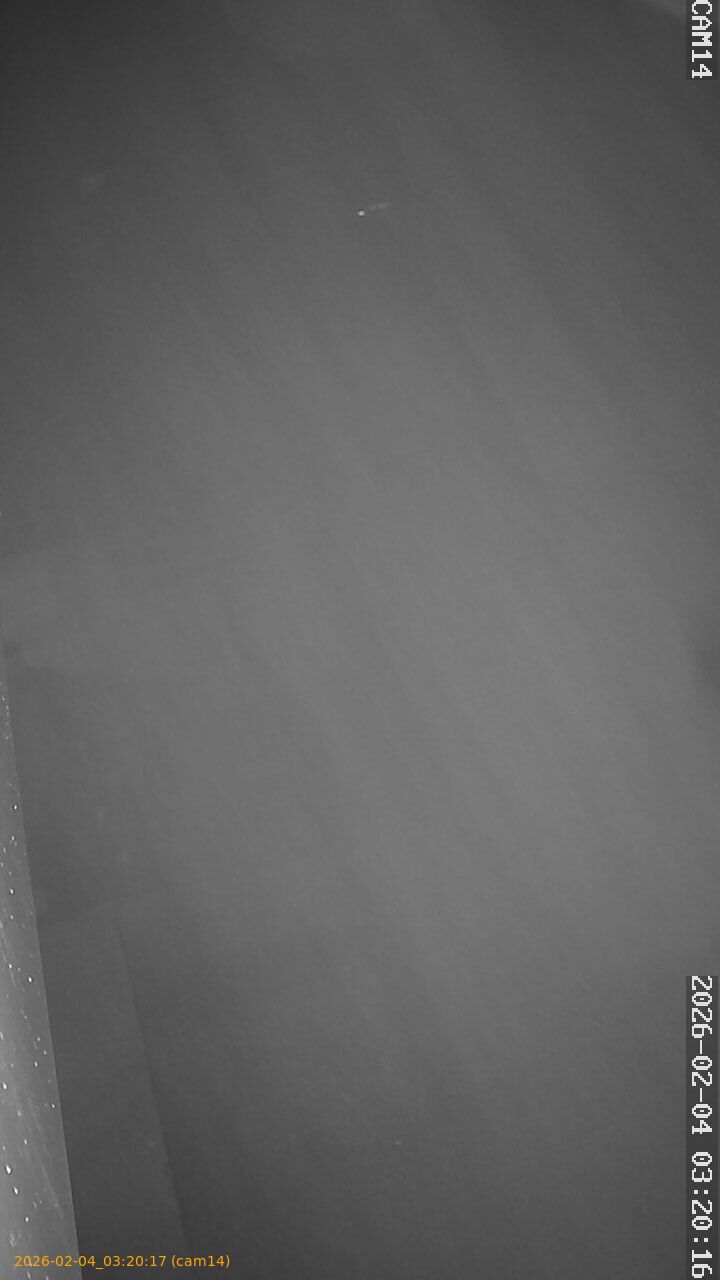 thumbnail_20260204032017