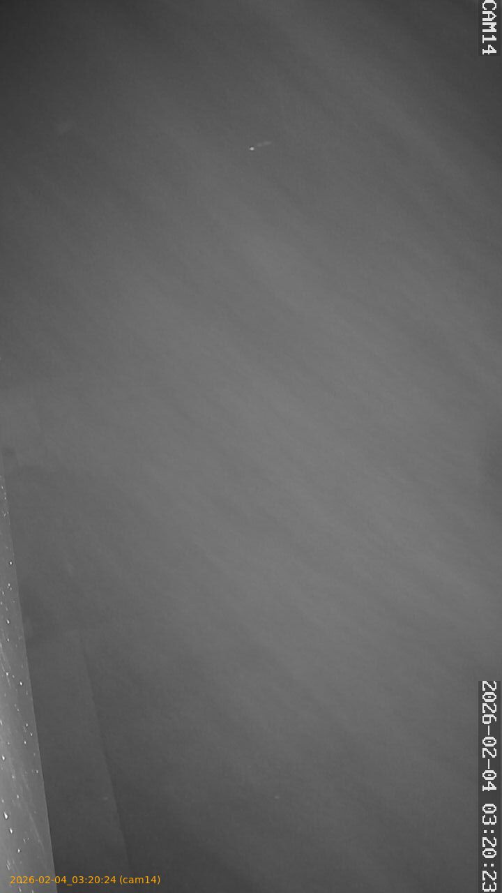 thumbnail_20260204032024