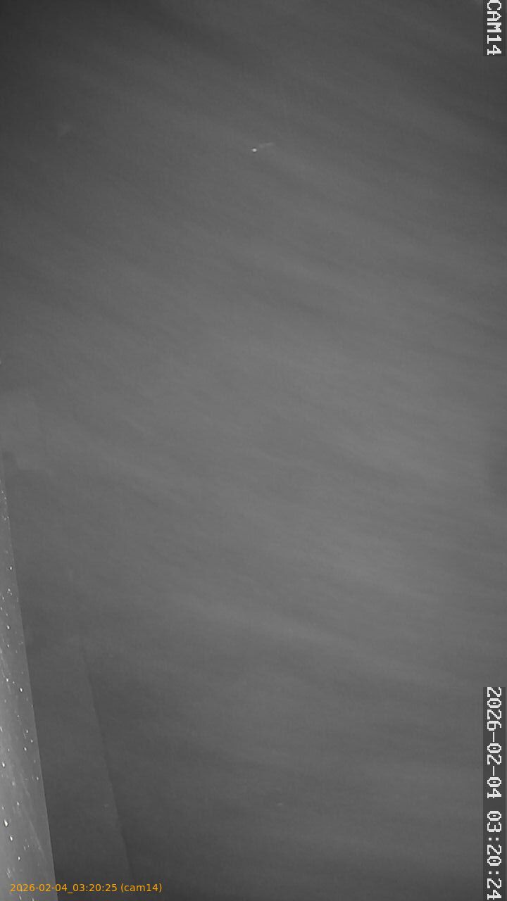 thumbnail_20260204032025