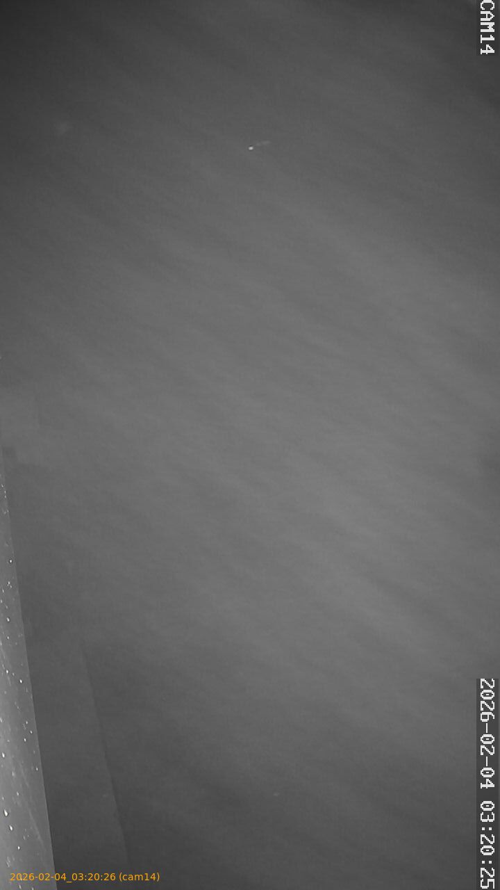 thumbnail_20260204032026