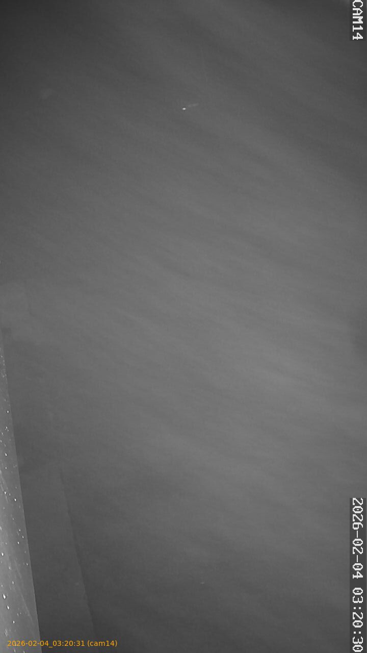 thumbnail_20260204032031