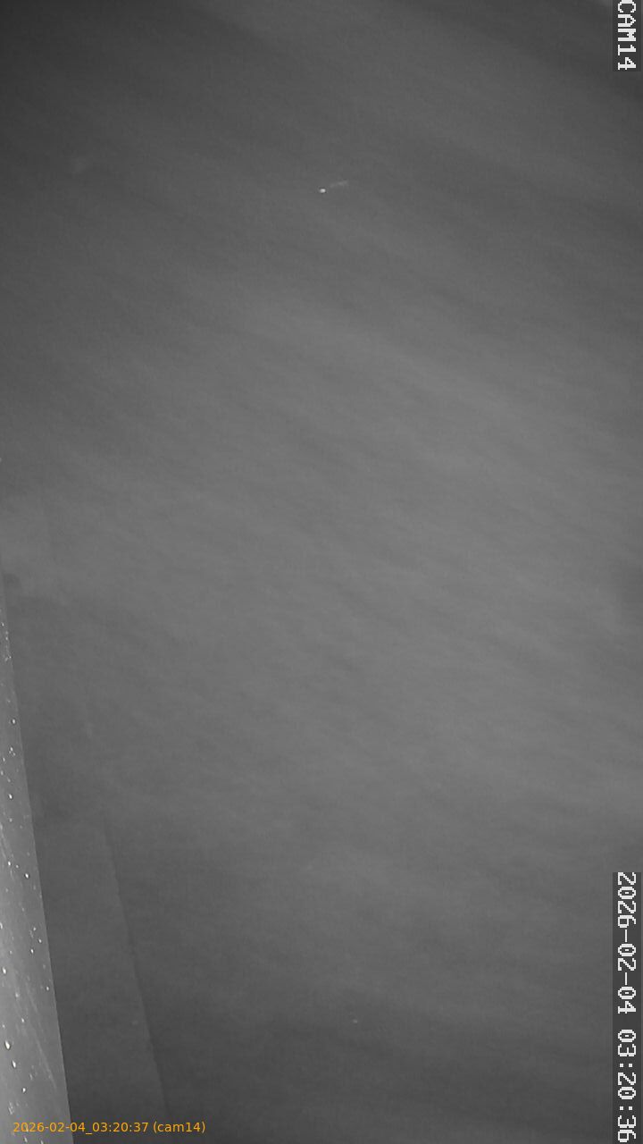 thumbnail_20260204032037