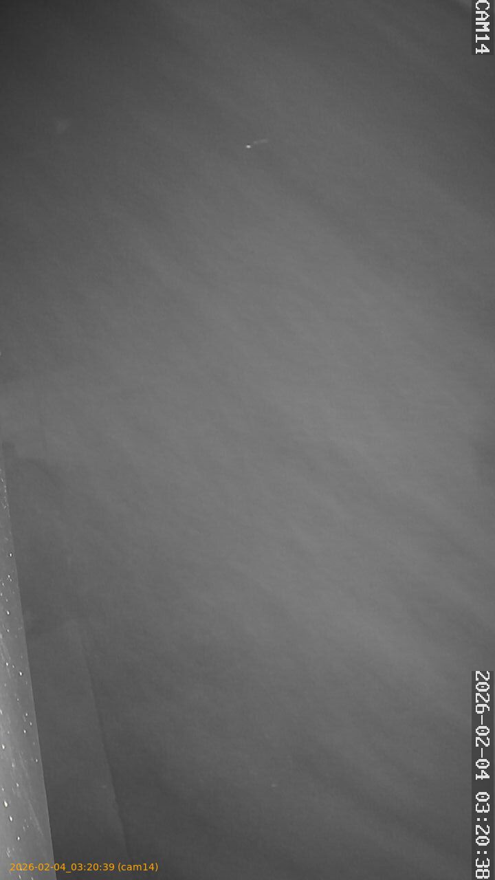 thumbnail_20260204032039