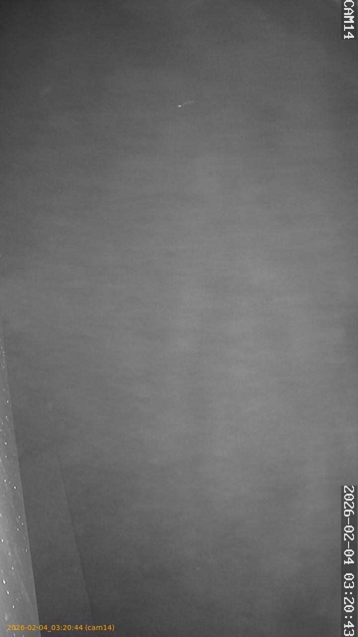 thumbnail_20260204032044