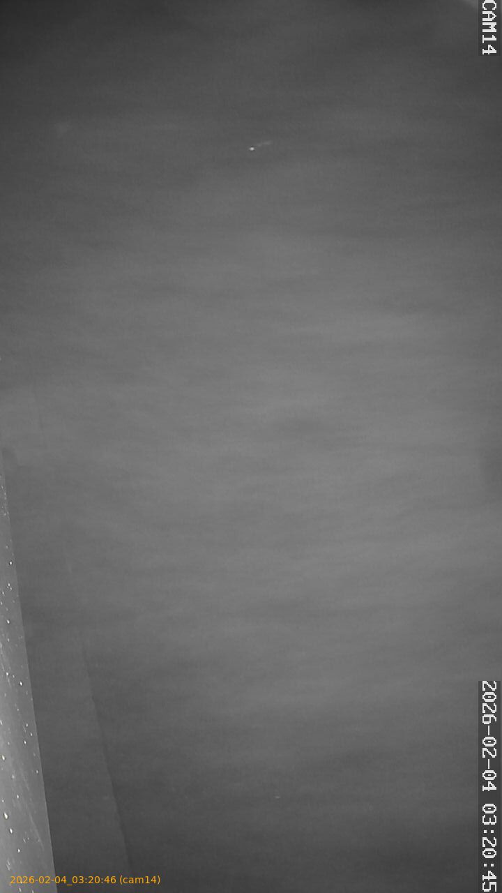 thumbnail_20260204032046