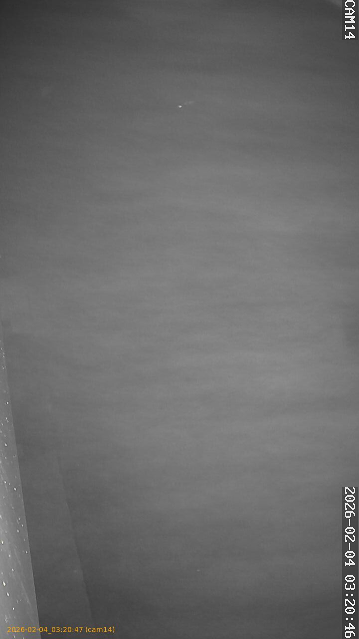 thumbnail_20260204032047