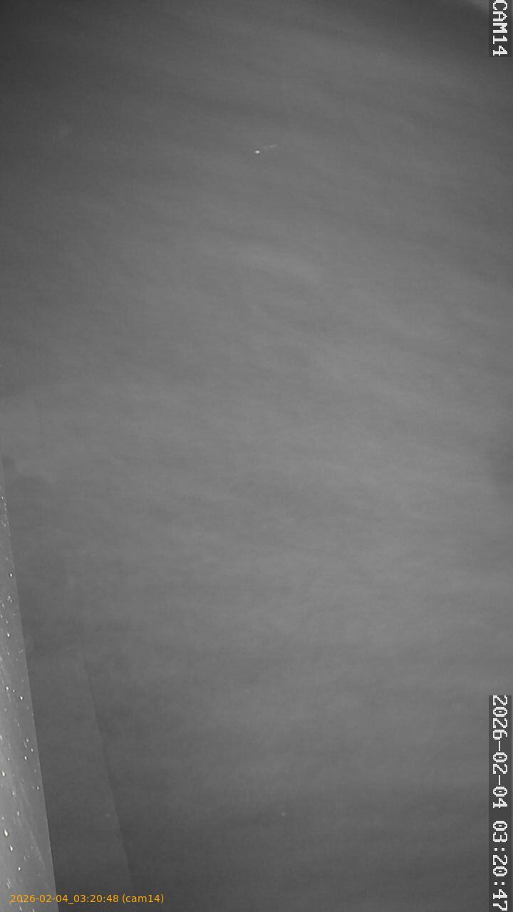 thumbnail_20260204032048