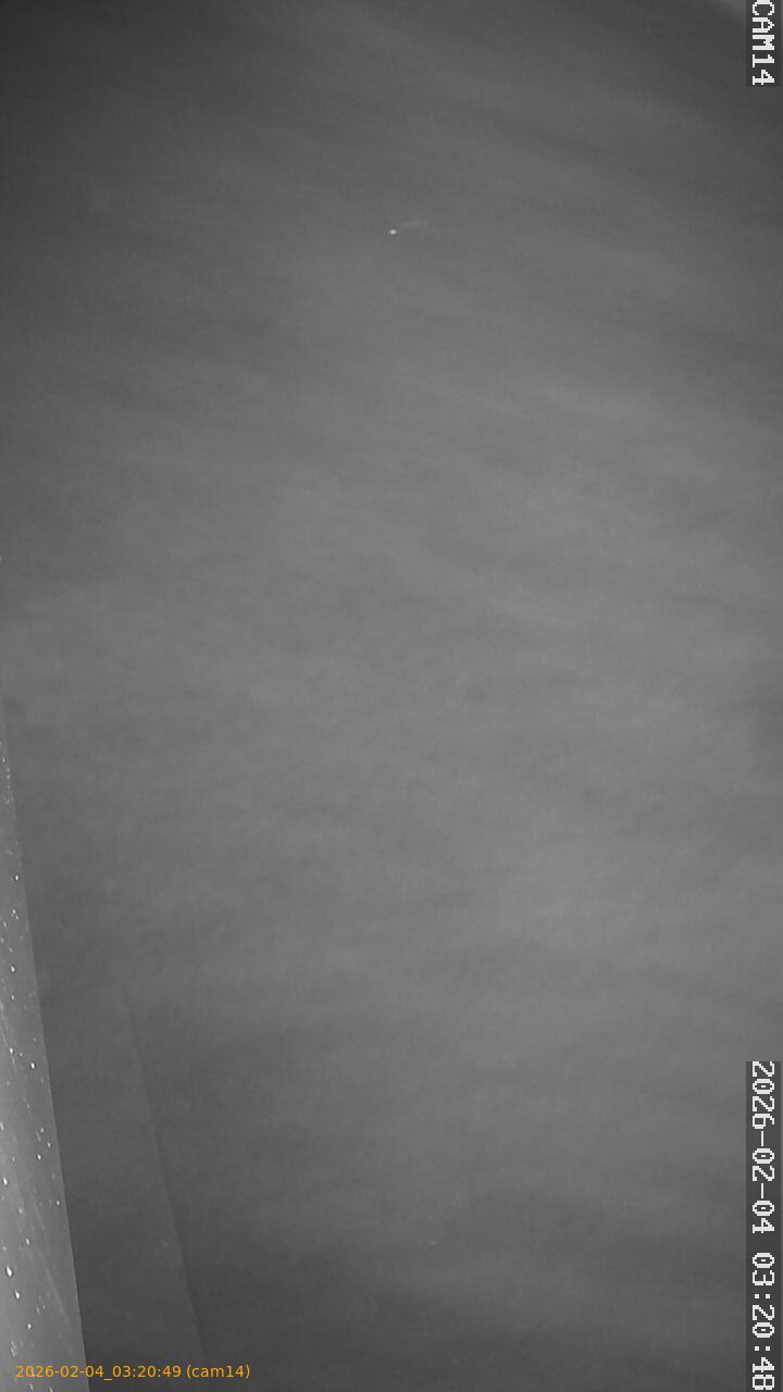 thumbnail_20260204032049