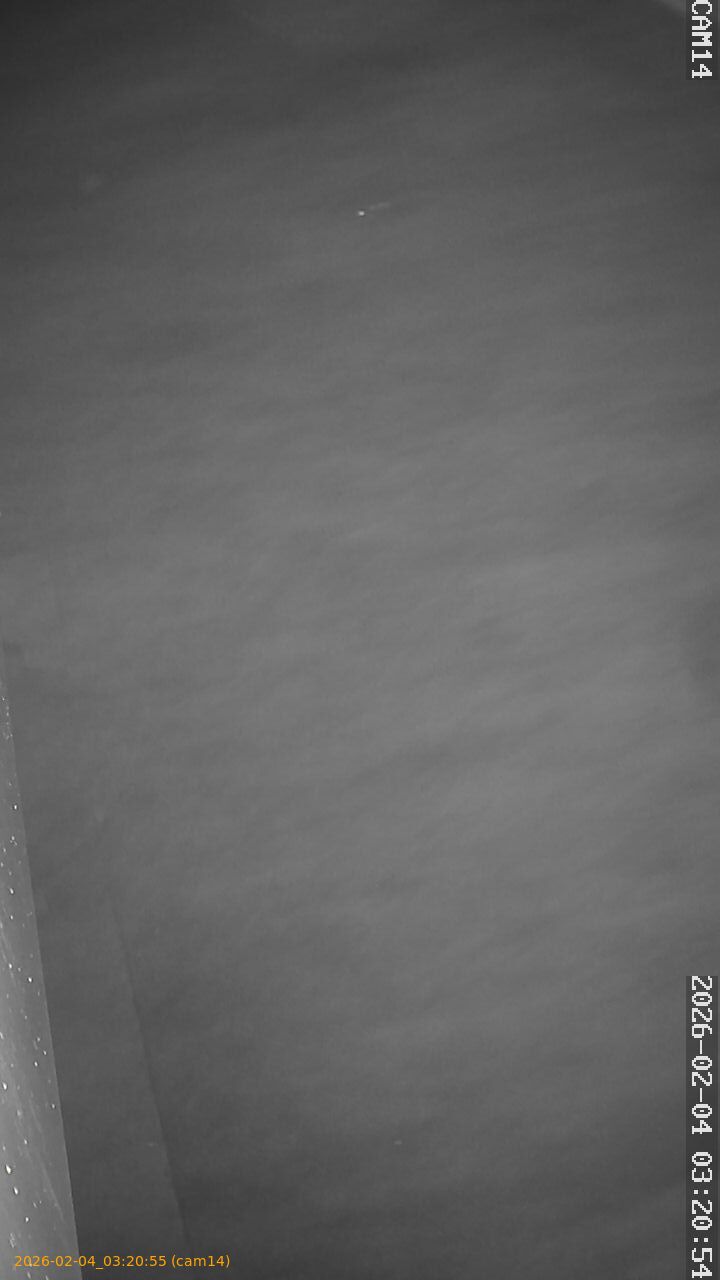 thumbnail_20260204032055