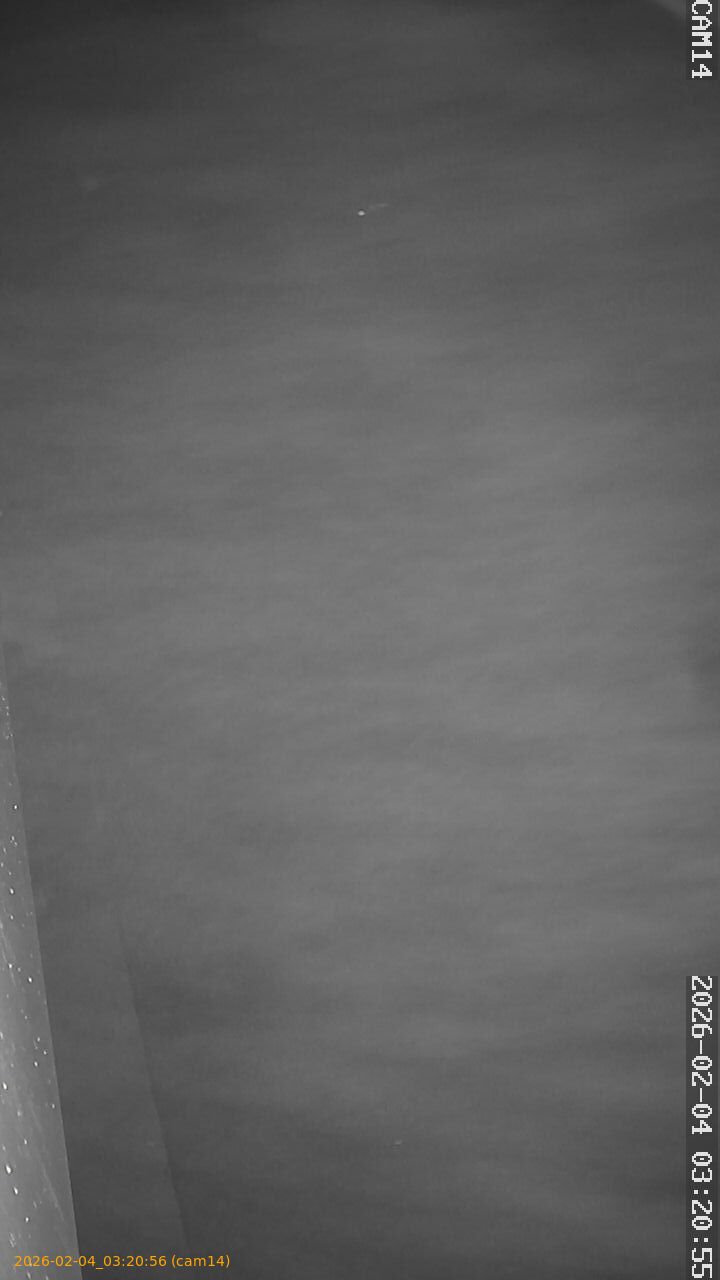 thumbnail_20260204032056