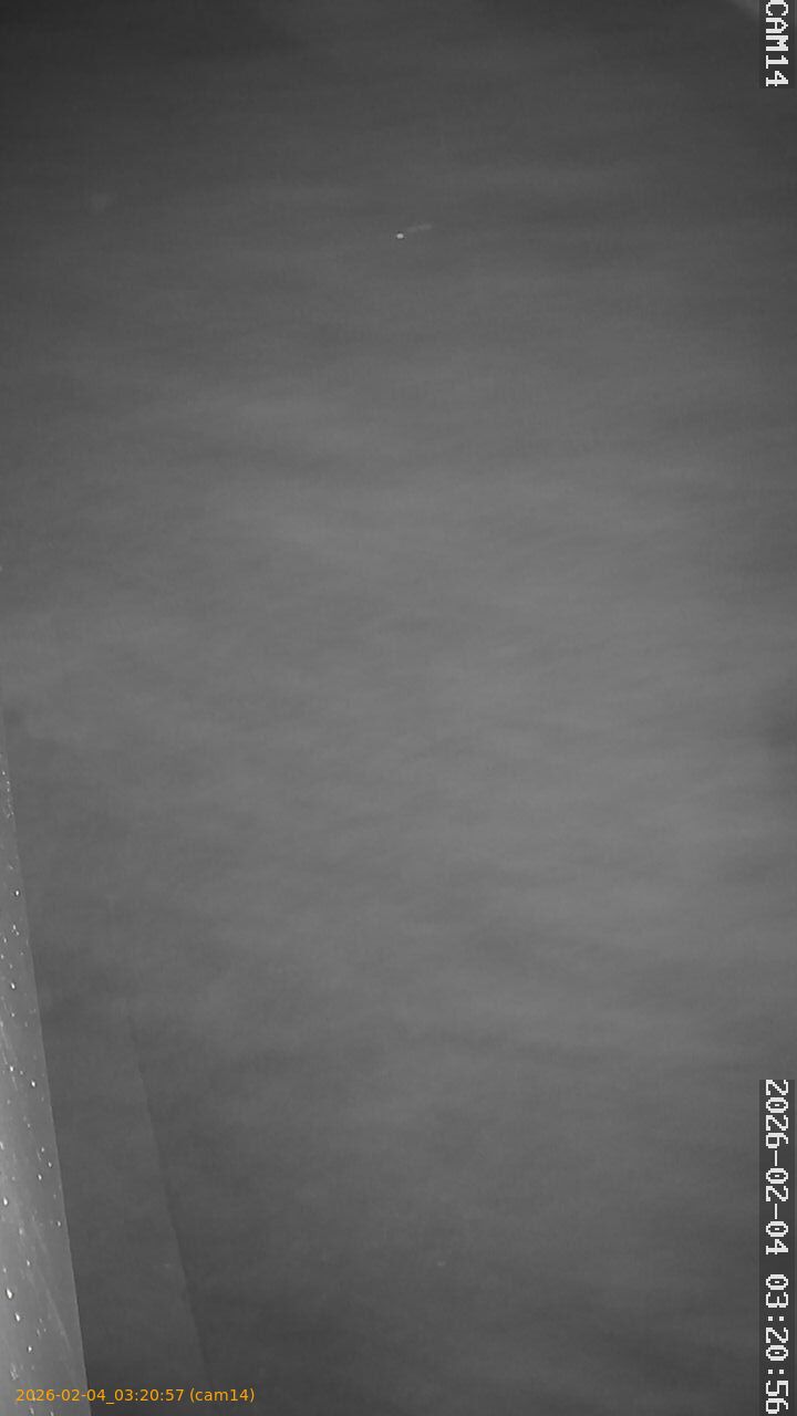 thumbnail_20260204032057