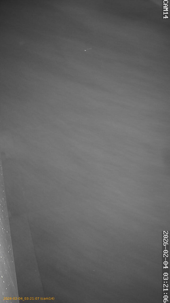 thumbnail_20260204032107