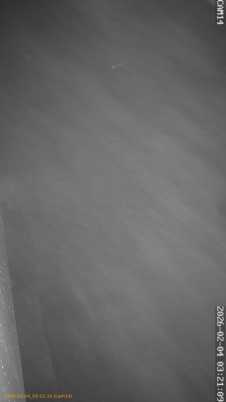 thumbnail_20260204032110