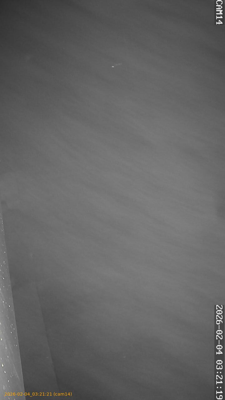 thumbnail_20260204032120